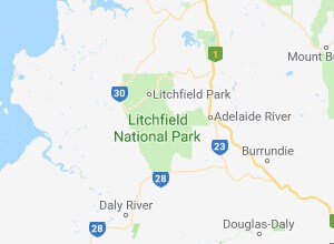 Litchfield Park Pest Control North Brisbane