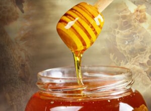 Honey in Australia Pest Control North Brisbane