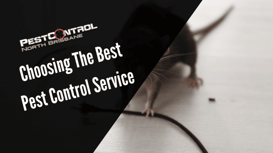 Choosing The Best Pest Control Service