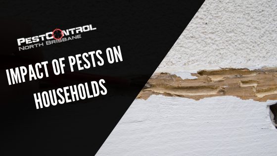 The Impact of Pests on Households